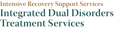 Intensive Recovery Support Services: Integrated Dual Disorders Treatment Services